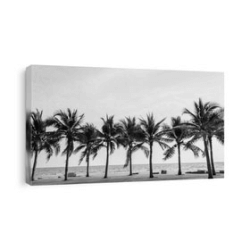 Black & White Photos